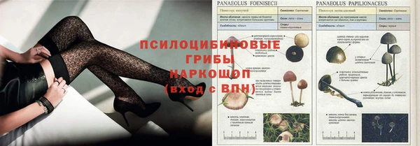 стафф Киренск