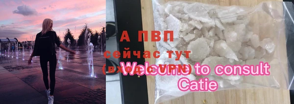 стафф Киренск