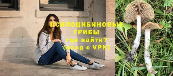 молекула духа Кинешма