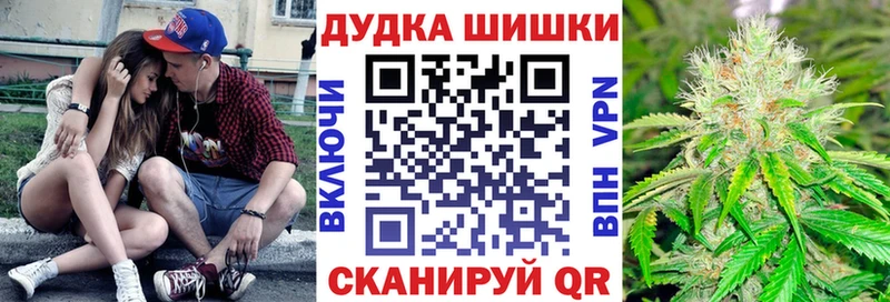 Купить закладки  Гатчина  Каннабис MAZAR 
